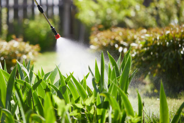 24/7 Emergency Mosquito Control experts in Port Orange, FL