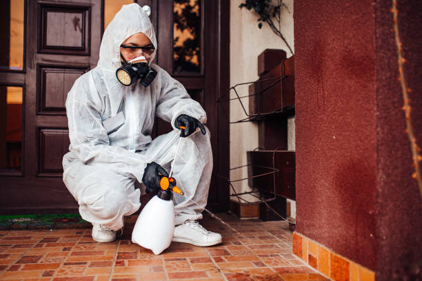 Reliable Mosquito Control contractor in Port Orange, FL by Show Me Pest Control